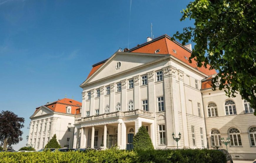 Vienna Palace Above the City