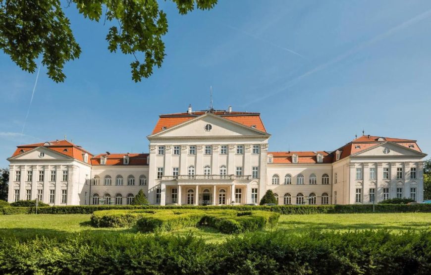 Vienna Palace Above the City
