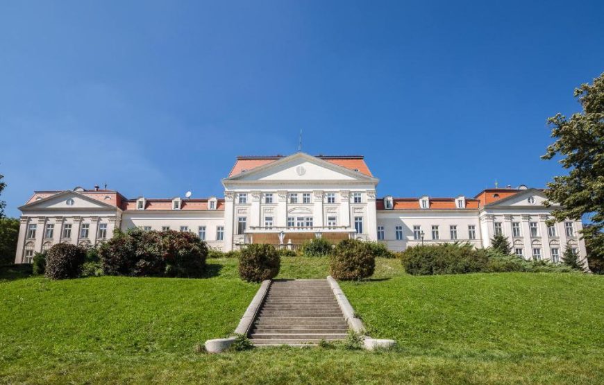 Vienna Palace Above the City