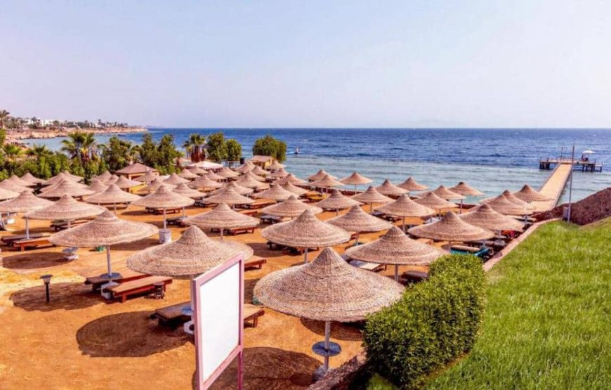 Sharm El Sheikh Naama Bay Holiday